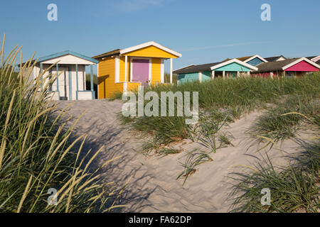 Colourful in sand dunes, Skanor Falsterbo, Falsterbo Peninsula, Skane (Scania), South Sweden, Sweden, Europe Stock Photo