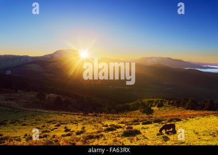 sunrise from Saibi with view of Amboto mountain range and a horse Stock Photo