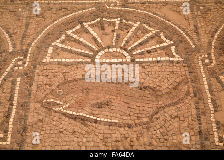 Floor Mosaics, Petra Church (also known as the Byzantine Church), Built Between the 5th and 7th century AD, Petra, Jordan Stock Photo