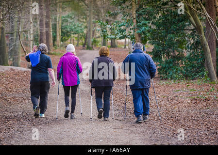 Walkers using trekking poles in Thorndon Park woodland in Essex, England, United Kingdom. Stock Photo