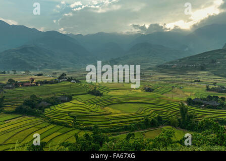 Rice fields on terraced of Mu Cang Chai, YenBai, Vietnam Stock Photo