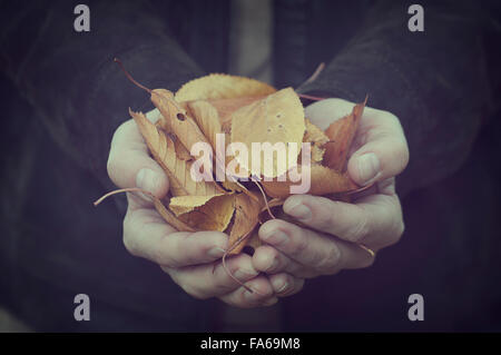 Man holding a handful of leaves Stock Photo