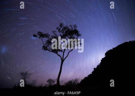 Star Trails in the Northern Territory, Alice Springs, Australia Stock Photo