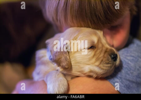 Boy hugging golden retriever puppy dog Stock Photo