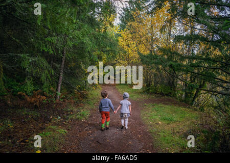 Rear view of boy and girl walking through forest, holding hands Stock Photo