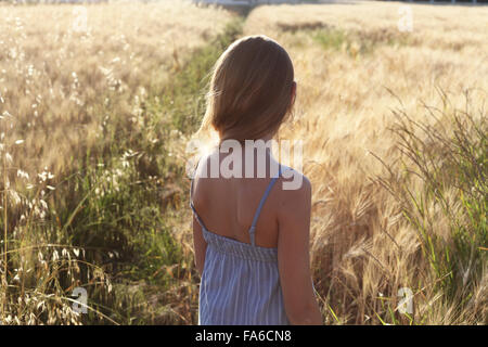 Rear view of a girl standing in a wheat field, Marotta, Marche, Italy Stock Photo