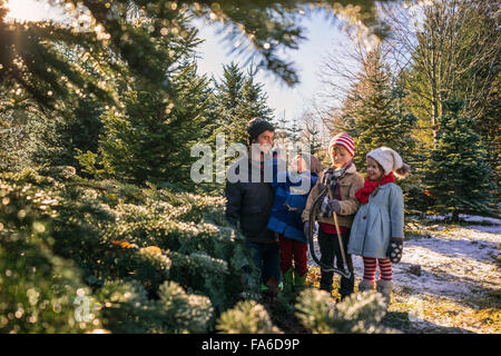 Father with three children standing in a Christmas tree farm with a hand saw Stock Photo