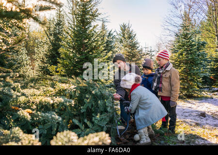 Father with three children cutting down Christmas tree Stock Photo