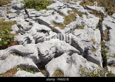 Limestone pavement on the Burren, Co. Clare, Ireland Stock Photo - Alamy