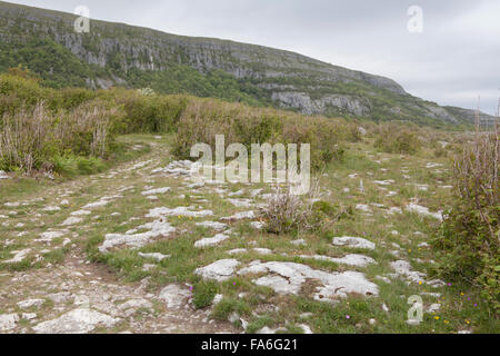 Slieve Carran - Eagle's Rock in the Burren, County Clare, Ireland Stock Photo