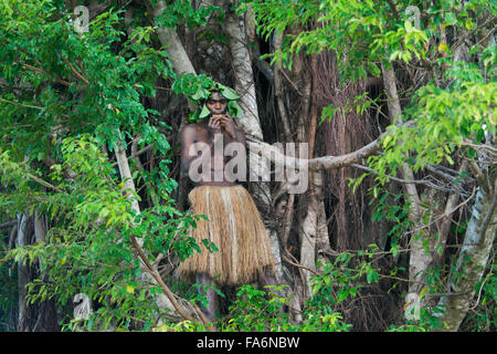 Man in traditional garb plays flute in limbs of strangler fig tree, Tanna island, Vanuatu, Melanesia Stock Photo