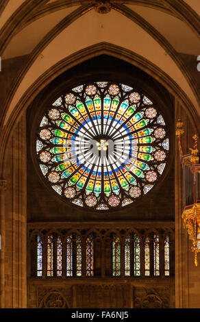 The Rose window, stained glass window, inside Strasbourg Cathedral, Strasbourg, France Europe Stock Photo