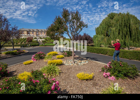 Chateau at Domaine Carneros, Duhig Road, Napa Valley, Napa County, California, United States, North America Stock Photo