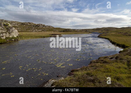 A remote clean unpolluted well-vegetated acidic loch, Loch a Mhill Aird, the island of Coll, Inner Hebrides, Scotland. Stock Photo