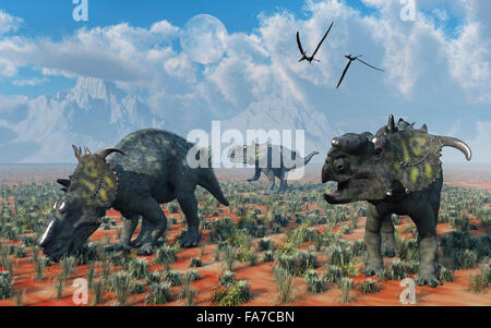 Pachyrhinosaurus Dinosaurs.