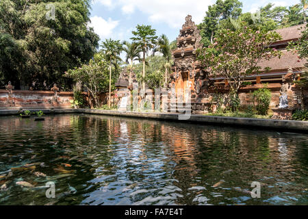 fish pond at the Hindu water temple Tirta Empul near Ubud, Bali, Indonesia Stock Photo