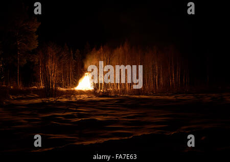 massive bonfire in winter night birch tree forest Stock Photo