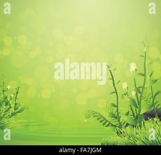 Flower and grass spring with water drop on green background Stock Vector