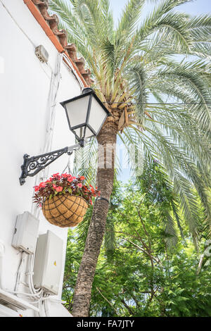 Tourism, narrow streets and typical of Marbella, white walls with floral balconies in Andalusia Spain Stock Photo