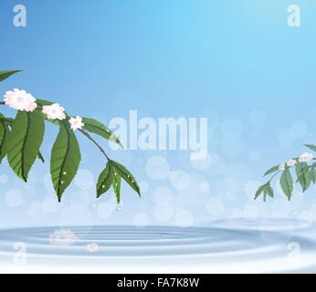 Green leafs and water drop on blue sky background Stock Vector