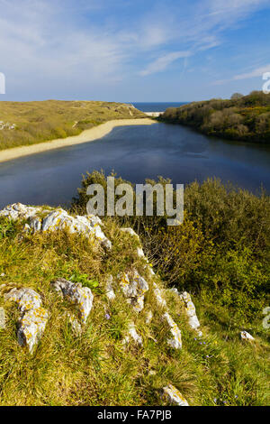 View of Bosherston Lily Pond towards Broadhaven beach and the sea at ...