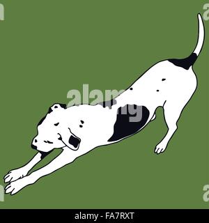 Smart black and white dog on color background. Man's best friend, darling blot - flatten isolated illustration master vector. Stock Vector