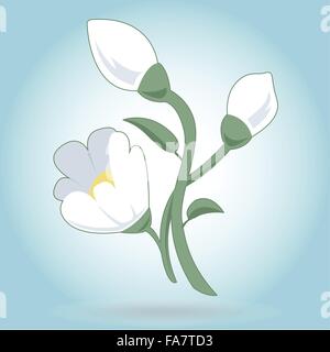 Lovely white flower snowdrop on white nice spring blossom country icon background for Easter wish group of flowers master vector Stock Vector