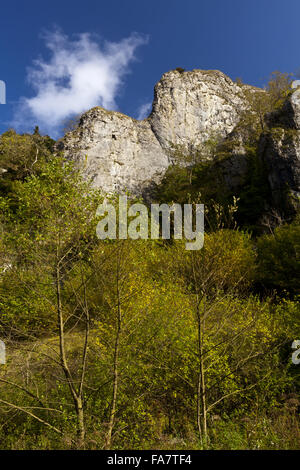 Tissington Spires in Dovedale, South Peak Estate, Derbyshire, in autumn. Stock Photo