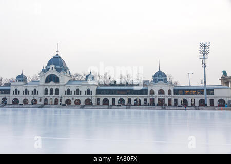 BUDAPEST, HUNGARY - JANUARY 27, 2014: City Park Ice Rink in Budapest, Hungary. Opened in 1870, it is the largest and one of the Stock Photo