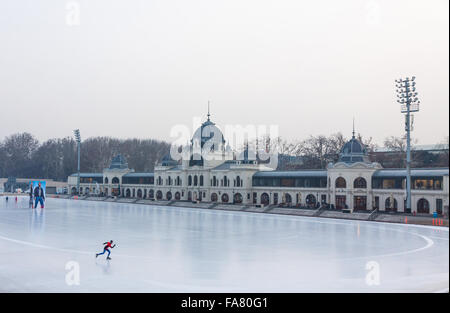 BUDAPEST, HUNGARY - JANUARY 27, 2014: City Park Ice Rink in Budapest, Hungary. Opened in 1870, it is the largest and one of the Stock Photo