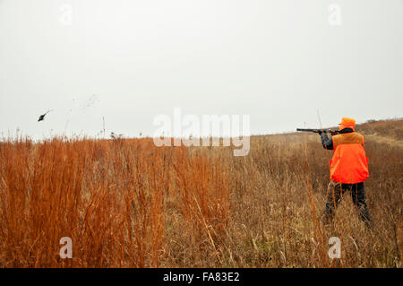 Boy stands in field shooting pheasant