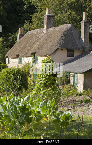 Cob House in Dorset Stock Photo - Alamy