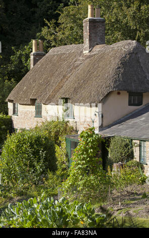 Cob House in Dorset Stock Photo - Alamy