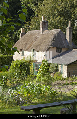 Cob House in Dorset Stock Photo - Alamy