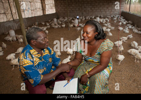 A chicken farmer sells commercial chickens to a customer in Comoé Province, Burkina Faso.