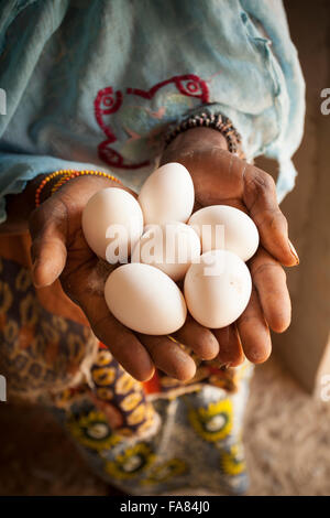 A woman a holds fresh eggs laid by her chickens in Tengréla Village, Burkina Faso. Stock Photo