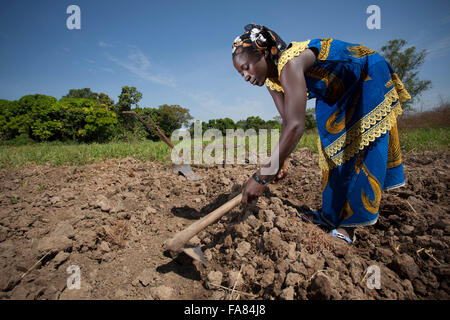 A woman prepares a field for planting in in Tengréla Village, Burkina Faso, West Africa. Stock Photo