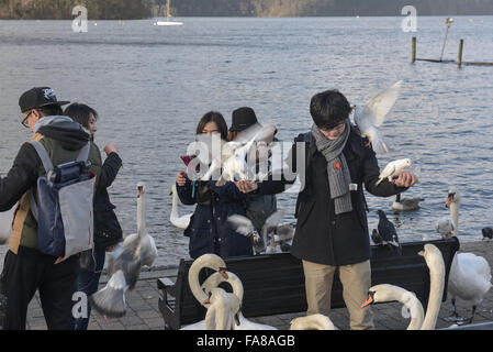 Cumbria, UK. 23rd December, 2015. A foreign tourist feeds birds by Windermere in Cumbria. Credit:  Michael Scott/Alamy Live News Stock Photo