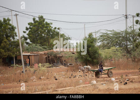 A boy drives a donkey-drawn cart in Sourou Province, village, Burkina Faso. Stock Photo