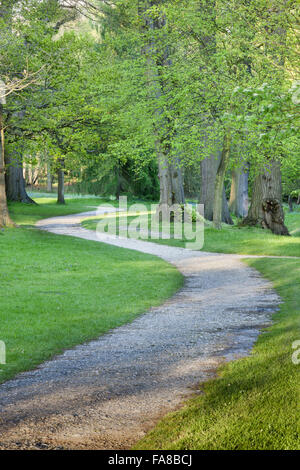 Woodland Walk at Claremont Landscape Garden, Surrey. Stock Photo