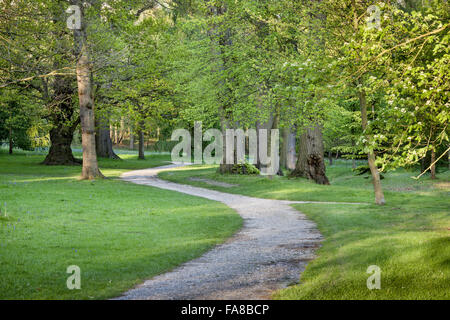 Woodland Walk at Claremont Landscape Garden, Surrey. Stock Photo