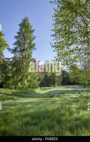 Woodland Walk at Claremont Landscape Garden, Surrey. Stock Photo