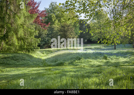 Woodland Walk at Claremont Landscape Garden, Surrey. Stock Photo