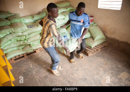 Small farmers receive sacks of seed and fertilizer at a distribution in Banfora Department, Burkina Faso. Stock Photo