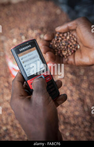 A commodities buyer uses mobile phone technology to compare prices at various markets  in Burkina Faso, W. Africa. Stock Photo