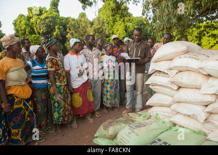 Small farmers receive sacks of seed and fertilizer at a distribution in Banfora Department, Burkina Faso. Stock Photo