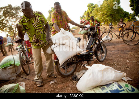 Small farmers receive sacks of seed and fertilizer at a distribution in Banfora Department, Burkina Faso. Stock Photo