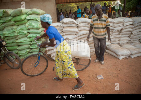 Small farmers receive sacks of seed and fertilizer at a distribution in Banfora Department, Burkina Faso. Stock Photo