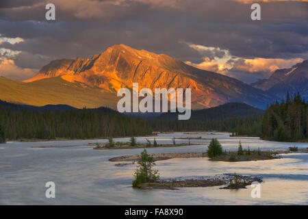 Mount Hardisty and the Athabasca River in Jasper National Park, Canada Stock Photo