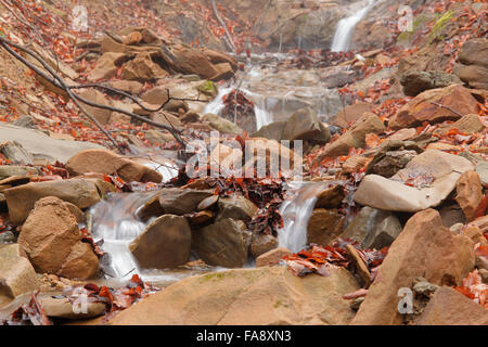 Mountain stream in early spring Stock Photo